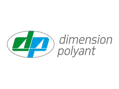 Dimension Polyant